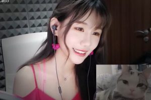 喵老师ASMR：给你的耳朵来场spa吧（22.10.14~7）