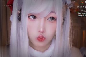 二呆酱 圣诞小精灵 （22.12.27~4）