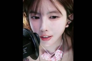 大艺术嘉 心动么么哒（25.03.03~3）